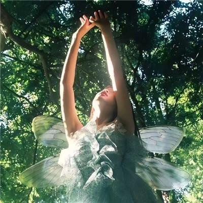 一个战争的故事